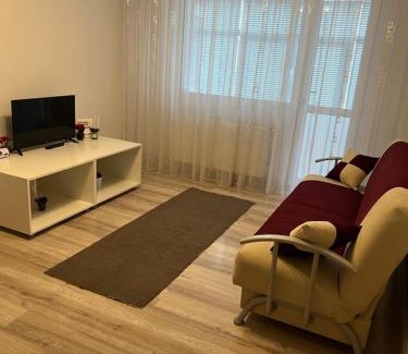 Tirgu Jiu Apartment | Margo Apartament cu 2 camere