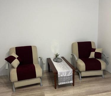 Tirgu Jiu Apartment | Margo Apartament cu 2 camere