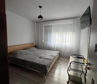 Tirgu Jiu Apartment | Margo Apartament cu 2 camere