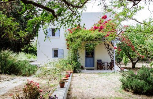 Eggares House | Margouno Eco Cottage