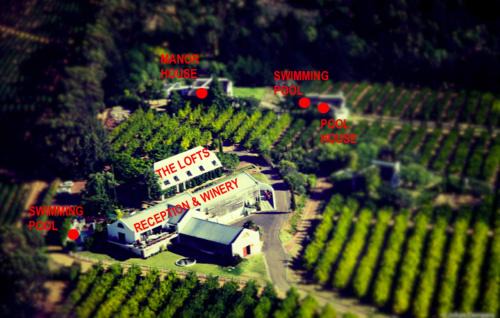 Cape Winelands Bed & Breakfast | Marianne Wine Estate