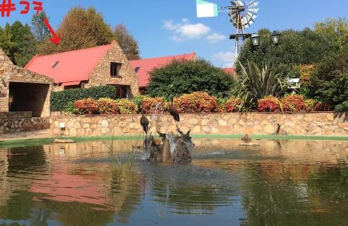 Dullstroom House | Marigold's 37 Critchley Common
