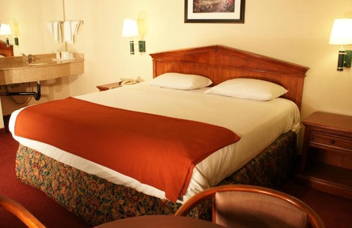 Venice Hotel | Marina 7 Motel
