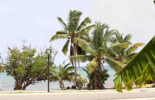 Guasimas House | Marina House