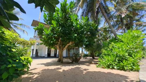 Dambulla House | Mario Ocean View