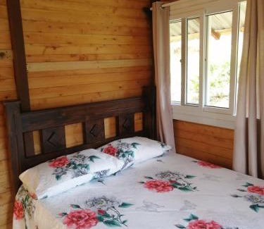 Providencia de Dota Hotel | Mario's Lodge Providencia