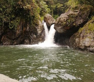 Providencia de Dota Hotel | Mario's Lodge Providencia