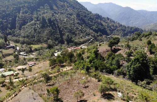 Providencia de Dota Hotel | Mario's Lodge Providencia