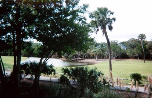 Bald Head Island Condo | Maritime Forest Condo Nr the Beach & Pool - Dog Friendly!