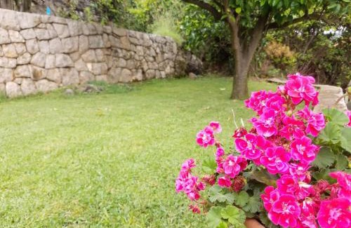 Molunat Apartment | Marivo Guest House