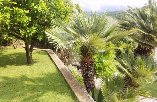 Molunat Apartment | Marivo Guest House