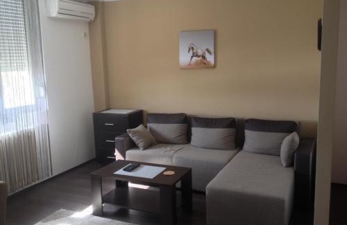 Pancevo Apartment | Markoni