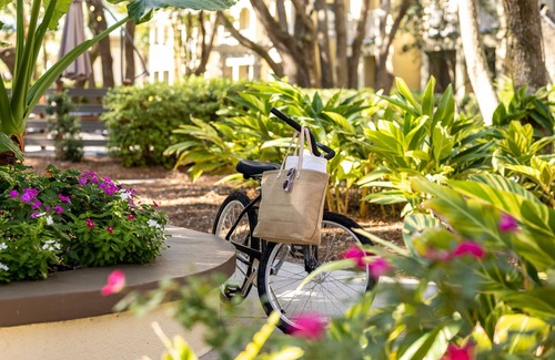 Palmetto Dunes Resort | Marriott's Barony Beach Club