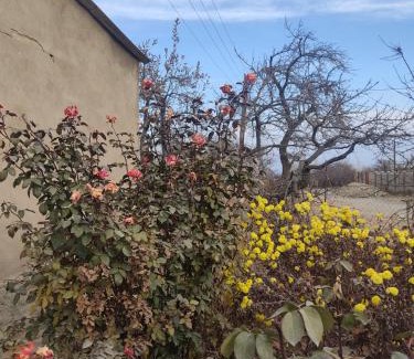 Issyk-Kul Region House | "Martin" guest house