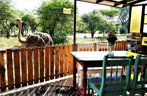 Hammanskraal Cabin | Marulani Bush Lodge