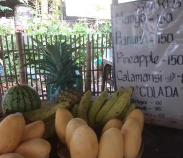 Dauin House | Mary's Homestay Apo island