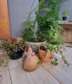 Garsfontein Apartment | Maryah House