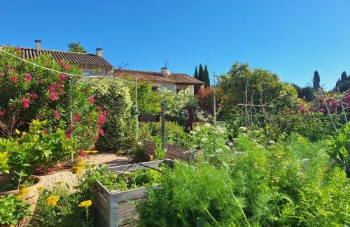 St.-Remy-de-Provence Bed & Breakfast | MAS DES FIGUES - Mas XVIIIe très calme - Certifié Biologique FRBio10 - jardin naturel écologique - piscine 12x6 - Copieux brunch paysan méditerranéen du jardin cuisine huile d'olive - Agritourisme-Alpilles Saint Rémy de Provence-du 01 mai au 29 septembre-