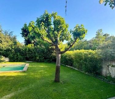 Paradou House | Mas Paradou, au coeur des Alpilles