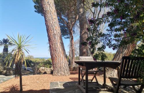 Argeles-sur-Mer House | Mas Senyarich