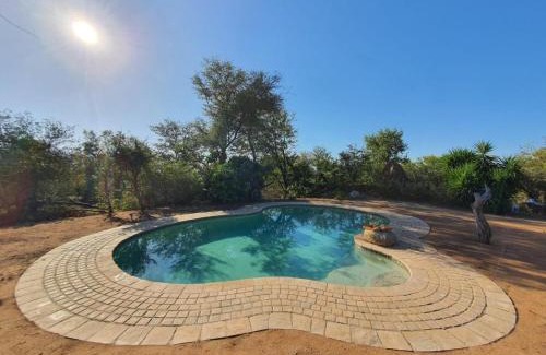 Phalaborwa Cabin | Masorini Bush Lodge & Safari Tents