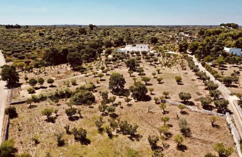Monopoli Bed & Breakfast | Masseria Fenicia