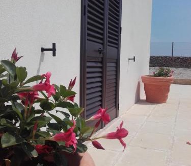 Torre San Giovanni Bed & Breakfast | Masseria Centro Colonico B&B