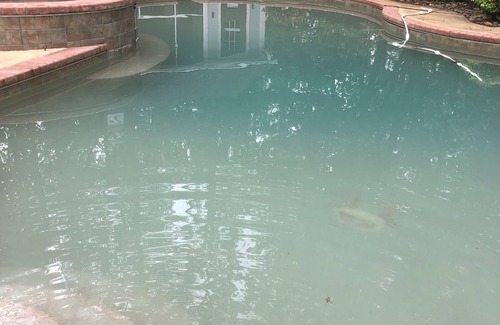 North Augusta House | Masters Rental/2 Primary bedrooms/Pool/Hot tub/Large Yard/Very Private