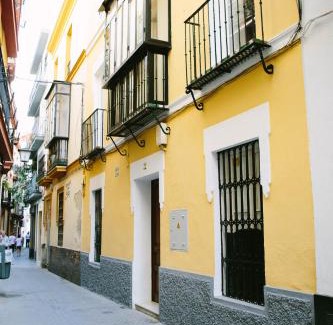 Museo House | Mateo Alemán 22