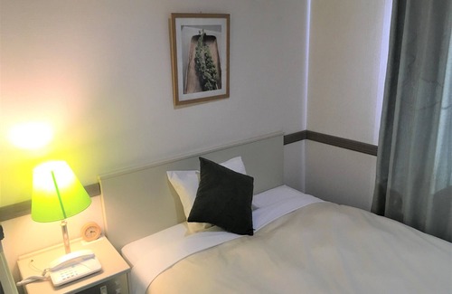 Matsumoto Hotel | Matsumoto Wellton Hotel