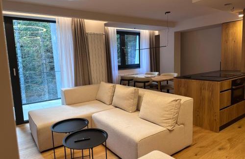 Bjelasnica Apartment | Maven apartments