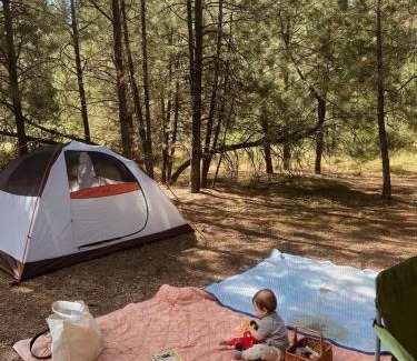 Arusha Region Other | Mawe Hillside Campsite