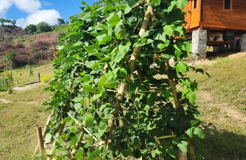 Kuta Other | Mawun Valley Farm