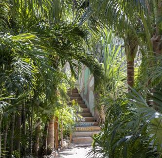 Isla Mujeres Hotel | Mayan Monkey Isla Mujeres - Social Hotel