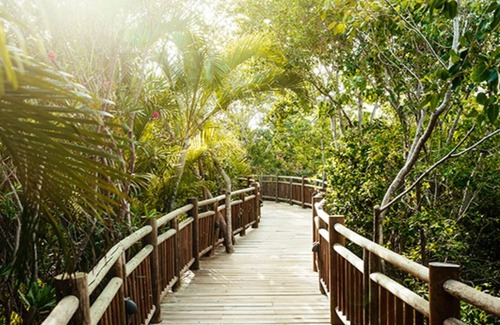 Playacar Apartment | Mayan Palace Riviera Maya, Playa Pareso
