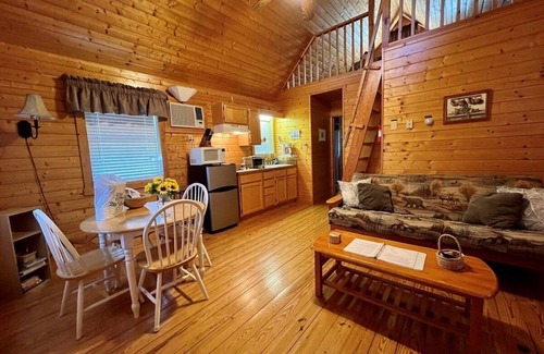 Laurel Springs Cabin | Meadow View-on Laurel Creek - Laurel Springs, NC