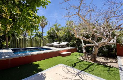 San Jose del Cabo Villa | Meditation Haven 3BR Villa with Pool Ciruelo