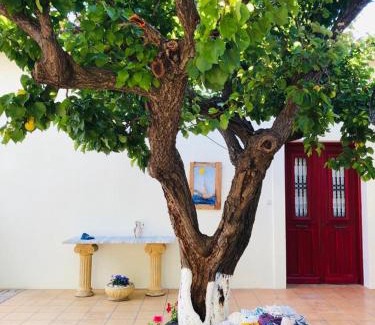 Karlovassi Villa | Mediterranean house with beautiful garden