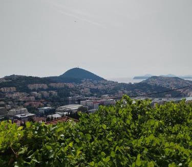 Gornji Kono Apartment | Mediterranean Vista