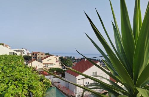 Gornji Kono Apartment | Mediterranean Vista