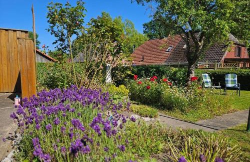 Gammendorf House | Meeresruh mit Hund