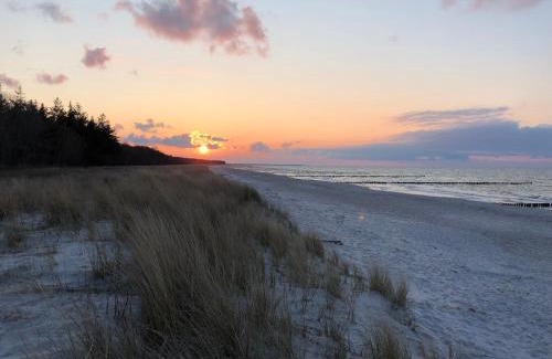 Zingst House | MeerZeit