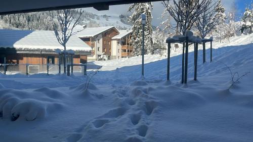 Megeve Apartment | Megeve Praz sur Arly Apparthotel eclat des veriaz Studio vue sur jardin