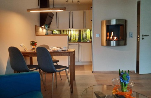 Hahnenklee Apartment | Meisensuite