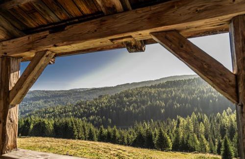 Sankt Margarethen im Lungau Apartment | Meissnitzerhütte