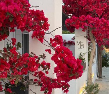Paros Hotel | Mellow Paros