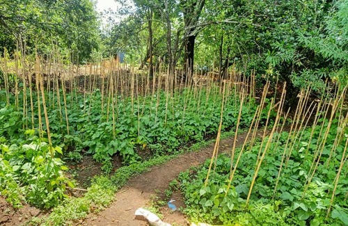 Kodaikanal House | Memmsta Hotels - 2546