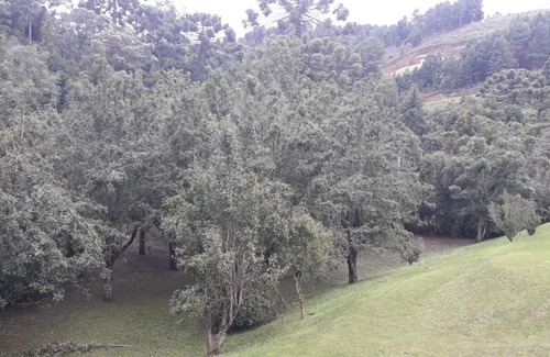 Abernessia Apartment | Merano
