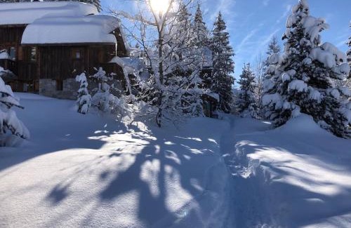 Meribel Ski Chalet | Meribel Altitude1600 chalet 6 personnes en pleine nature au milieu des pistes