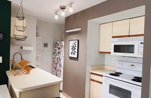 Columbia Heights Condo | Meridian Hill Park Artistic 1 Bedroom